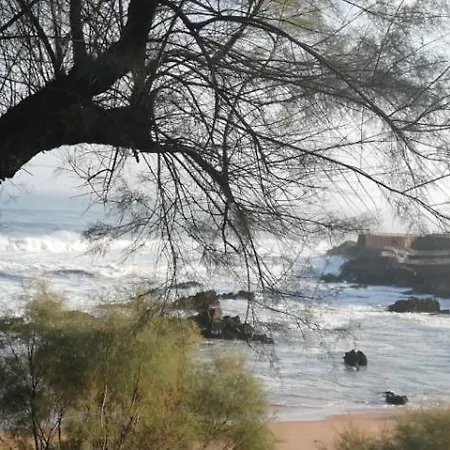 Botin بيت ضيافة *